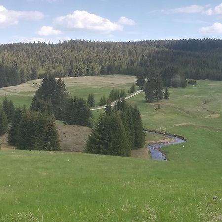 Ferienwohnung Zern Johanngeorgenstadt Bagian luar foto