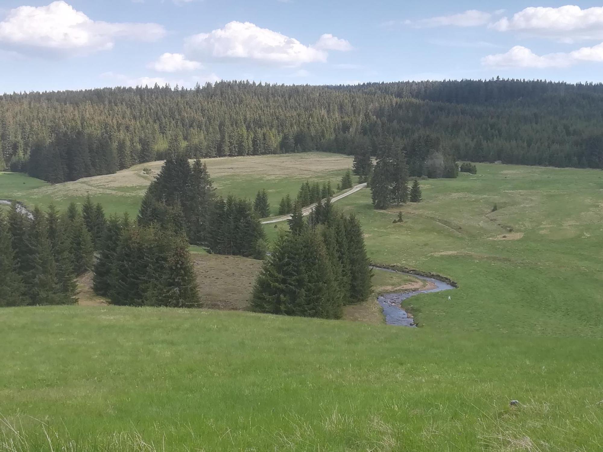 Ferienwohnung Zern Johanngeorgenstadt Bagian luar foto