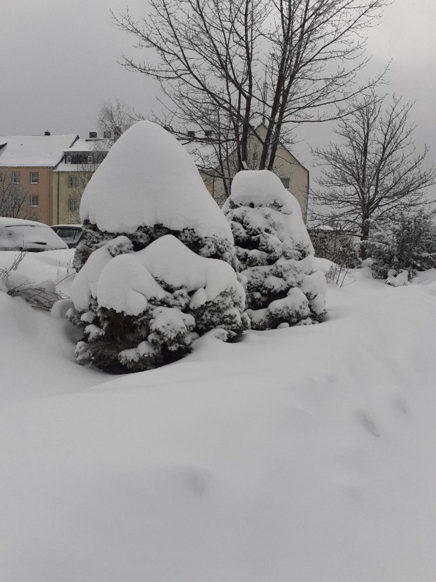 Ferienwohnung Zern Johanngeorgenstadt Bagian luar foto